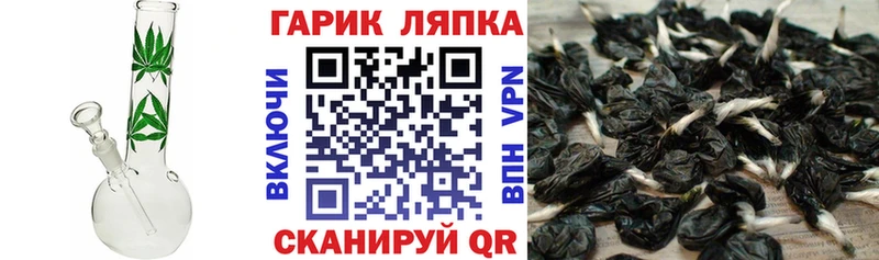 Гашиш Premium Фокино
