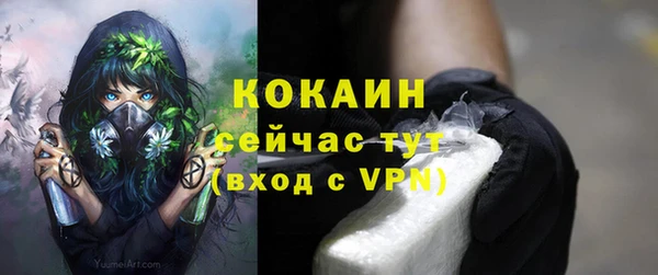 ПСИЛОЦИБИНОВЫЕ ГРИБЫ Медвежьегорск