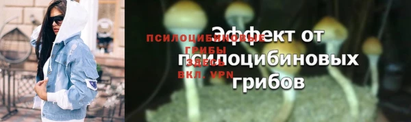 прущий лед Майский