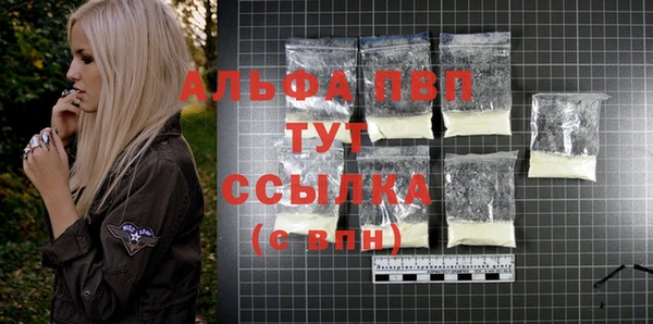 ПСИЛОЦИБИНОВЫЕ ГРИБЫ Медвежьегорск