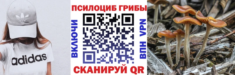 закладки  Фокино  Галлюциногенные грибы мухоморы 